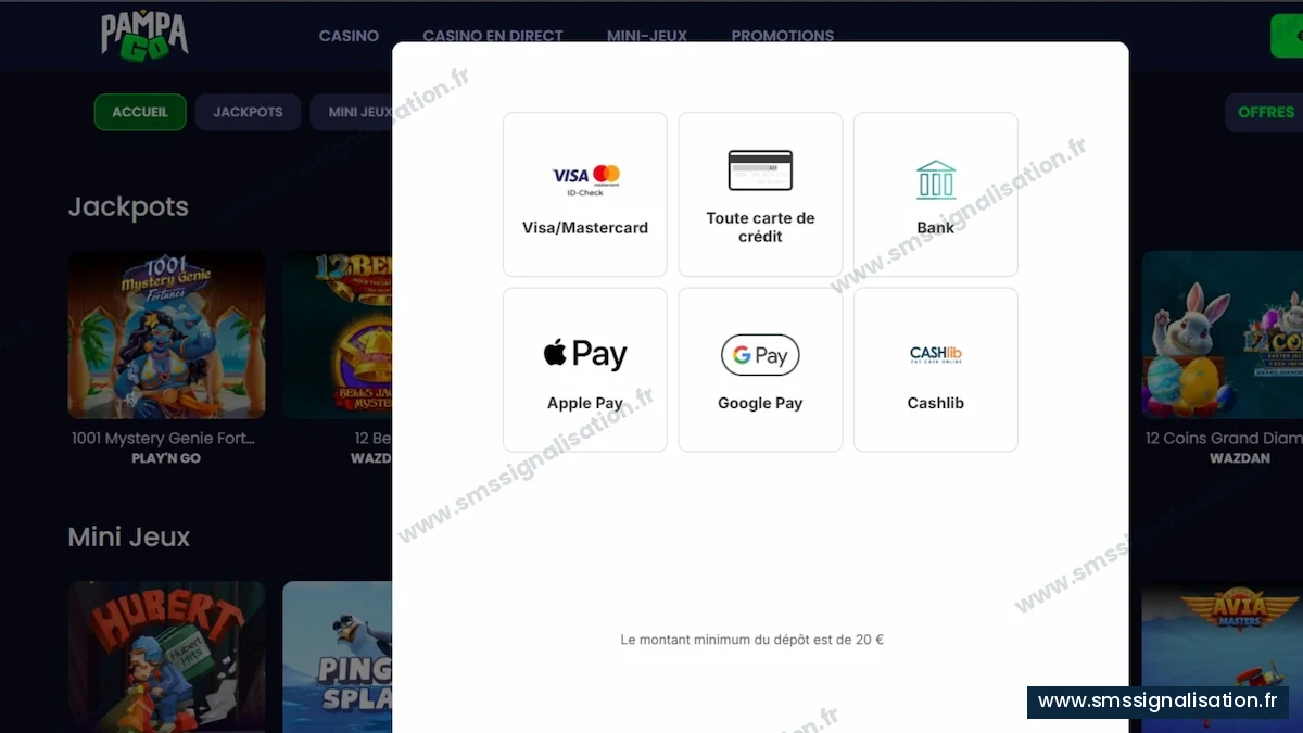 Moyens de paiement acceptés par PampaGo Casino